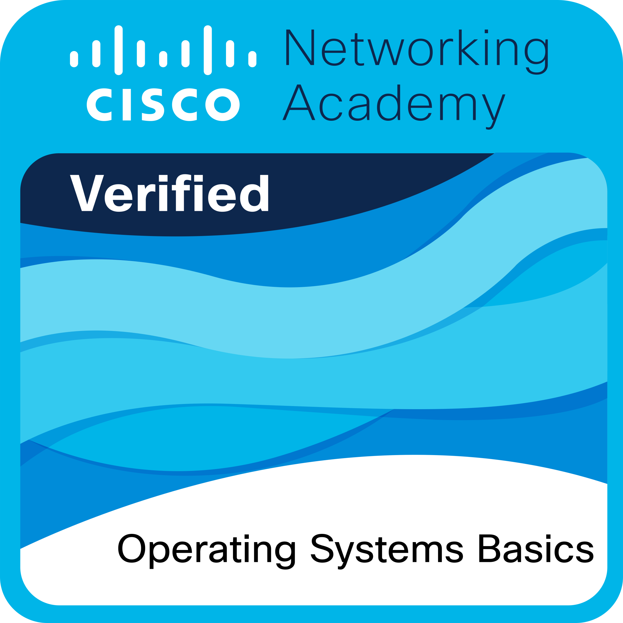 Fundamentos de Sistemas Operativos badge